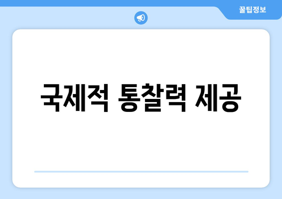 국제적 통찰력 제공