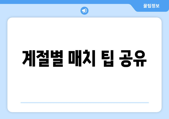 계절별 매치 팁 공유