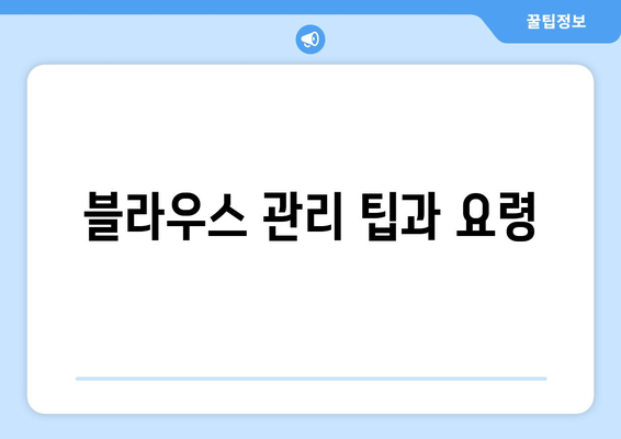 블라우스 관리 팁과 요령