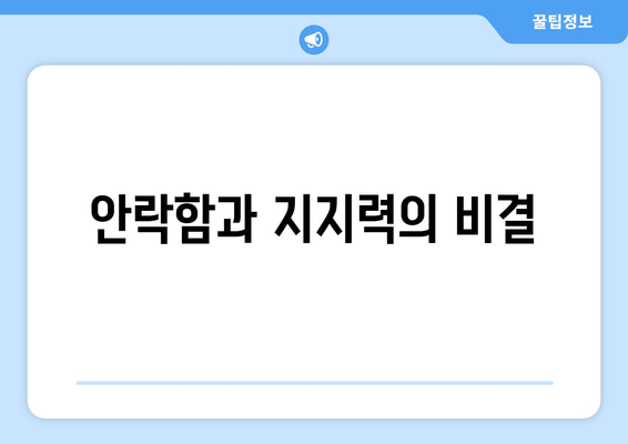 안락함과 지지력의 비결