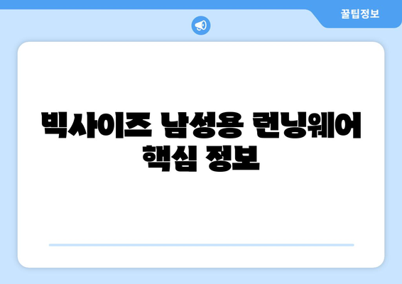 빅사이즈 남성용 런닝웨어 핵심 정보