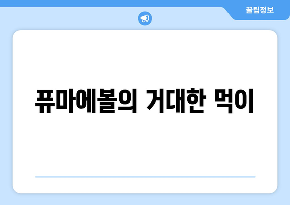 퓨마에볼의 거대한 먹이