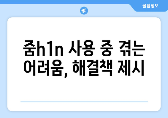 줌h1n 사용 중 겪는 어려움, 해결책 제시