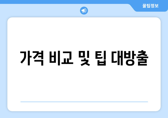 가격 비교 및 팁 대방출