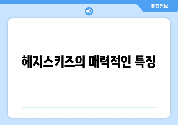 헤지스키즈의 매력적인 특징