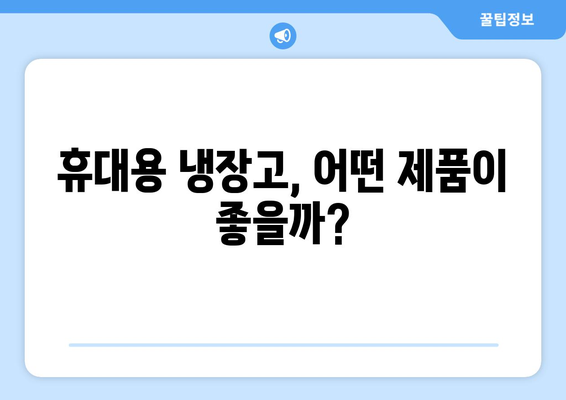 휴대용 냉장고, 어떤 제품이 좋을까?