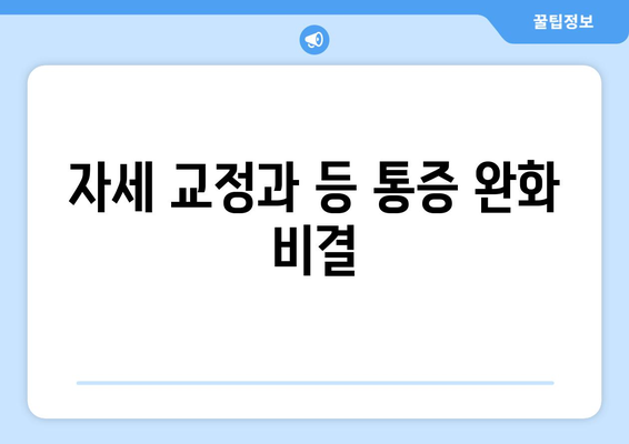 자세 교정과 등 통증 완화 비결