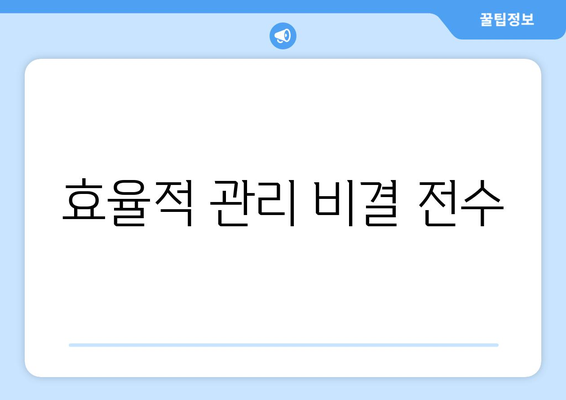 효율적 관리 비결 전수