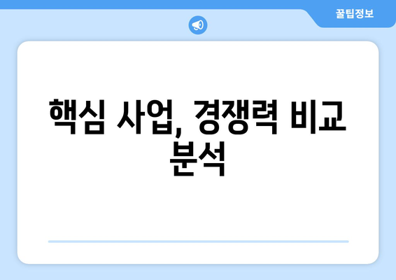 핵심 사업, 경쟁력 비교 분석