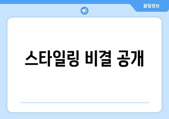 스타일링 비결 공개