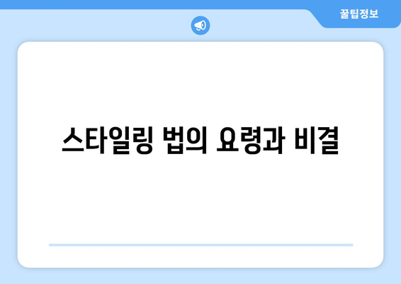 스타일링 법의 요령과 비결