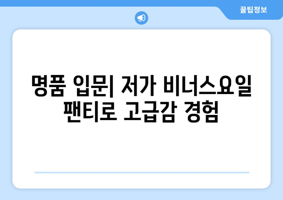 명품 입문| 저가 비너스요일 팬티로 고급감 경험