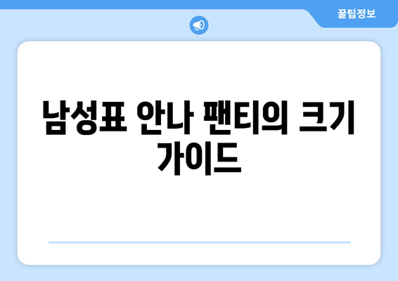 남성표 안나 팬티의 크기 가이드