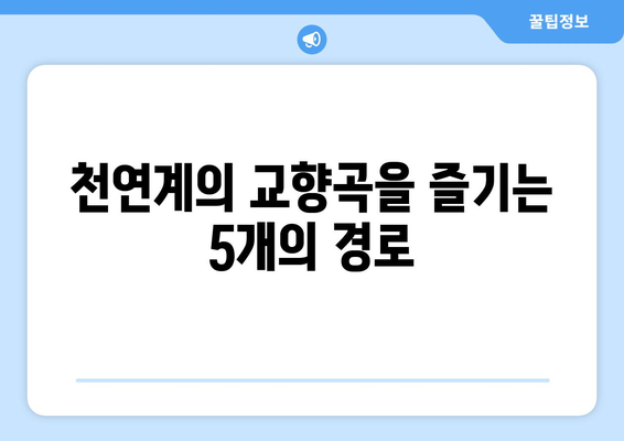 천연계의 교향곡을 즐기는 5개의 경로