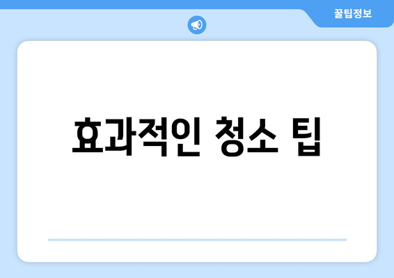 효과적인 청소 팁