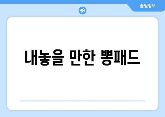 내놓을 만한 뽕패드