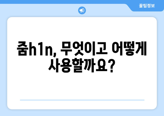 줌h1n, 무엇이고 어떻게 사용할까요?