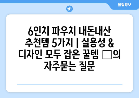 6인치 파우치 내돈내산 추천템 5가지 | 실용성 & 디자인 모두 잡은 꿀템 ✨