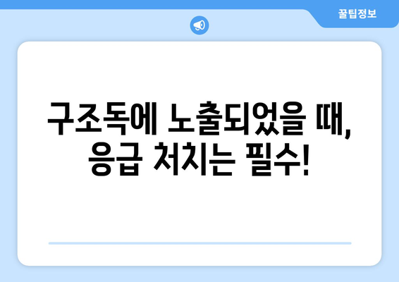 구조독의 위험성과 예방법| 당신의 안전을 위한 완벽 가이드 | 구조독, 독, 응급처치, 안전, 예방